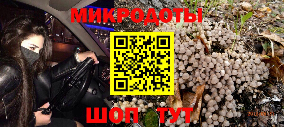 Псилоцибиновые грибы GOLDEN TEACHER  Вход с VPN  Сарапул 